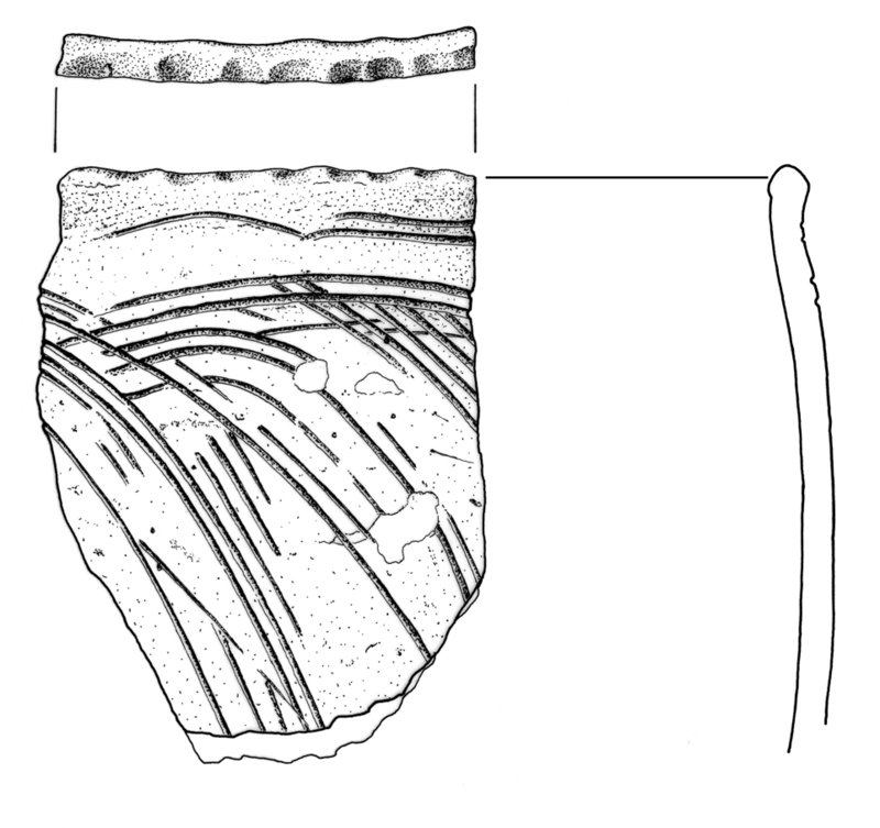 Kamionka, st. 9. Fragment naczynia z wczesnej epoki żelaza. Rys. D. Wach.