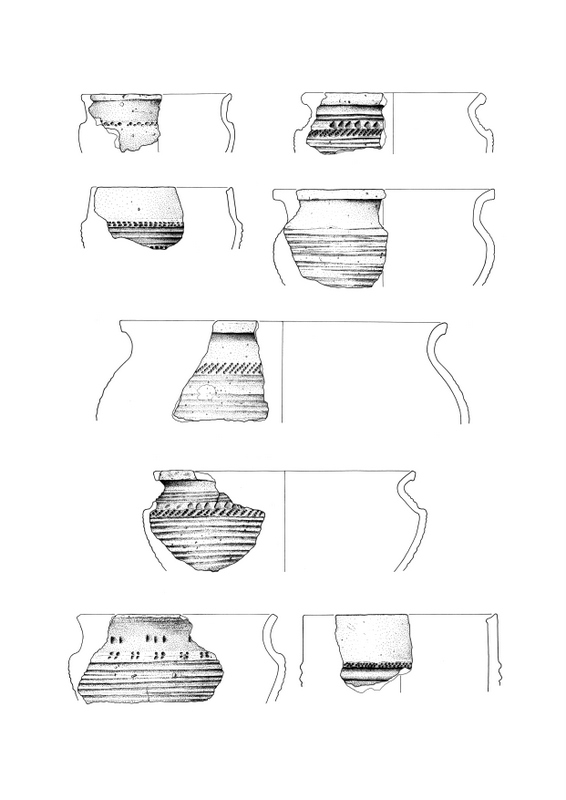 Kamionka, st. 9. Wybór ceramiki wczesnośredniowiecznej. Rys. D. Wach.